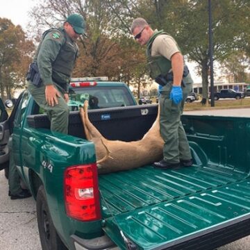 Wildlife officials remind hunters of import ban