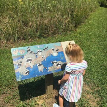 Story Book children’s trail opens in Monteagle