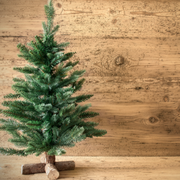 5 ways to un-Christmas and do a little local good