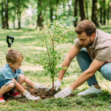 Join others across the state and plant a tree on Tennessee Tree Day