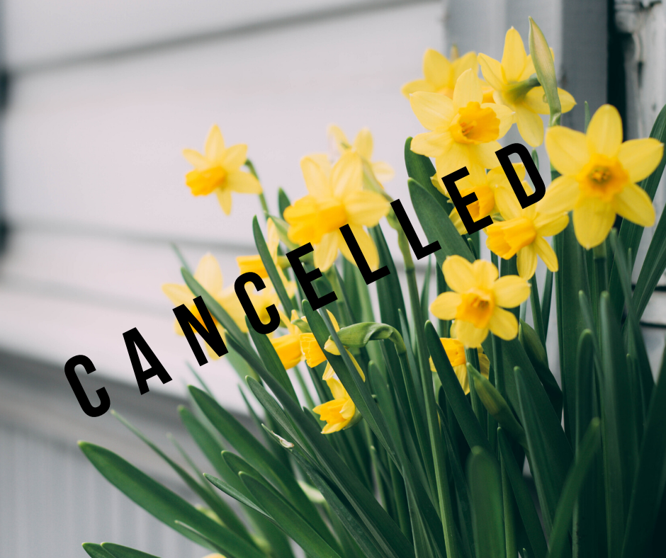 Daffodil Day cancelled