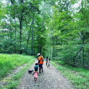 Tims Ford State Park plans National Trails Day events on Saturday