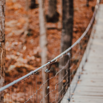 Tims Ford State Park, others offer Day After Thanksgiving Hikes