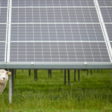 Solar farm moves forward with $650,000 energy siting agreement