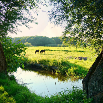 State seeking environmental stewardship award nominations