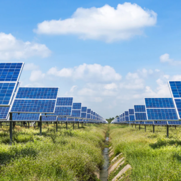 Metro Council places a moratorium on future solar farms