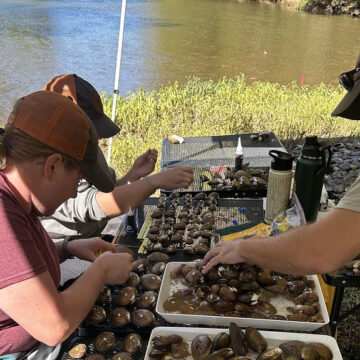 BIODIVERSITY HOTSPOT: TN Tech joins statewide effort to protect the Duck River