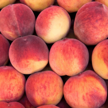 Peach Festival returns to Belvidere on July 19