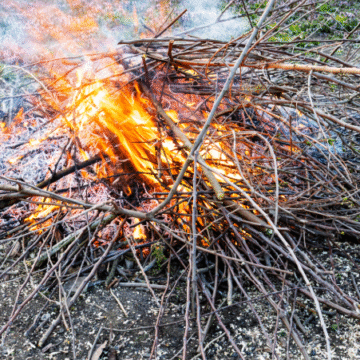 State burn permits now required in Moore County
