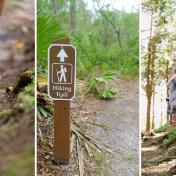 Tims Ford, others offer Day After Thanksgiving Hikes