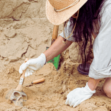 State plan Archaeology Conference on Jan. 24