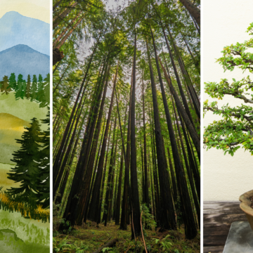 Local Artists: Submit entries for the Art of Trees