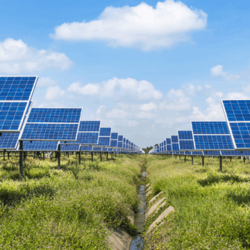 Solar farm not in compliance