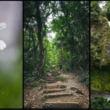 GET OUTSIDE: TN State Parks Spring Hikes happen this Saturday