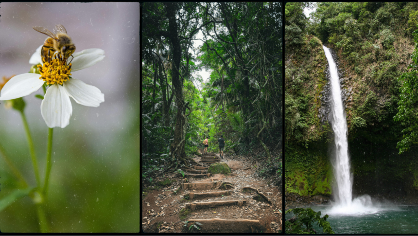 GET OUTSIDE: TN State Parks Spring Hikes happen this Saturday