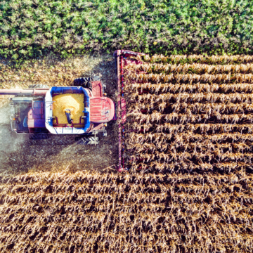 When Farmers Own the Bank