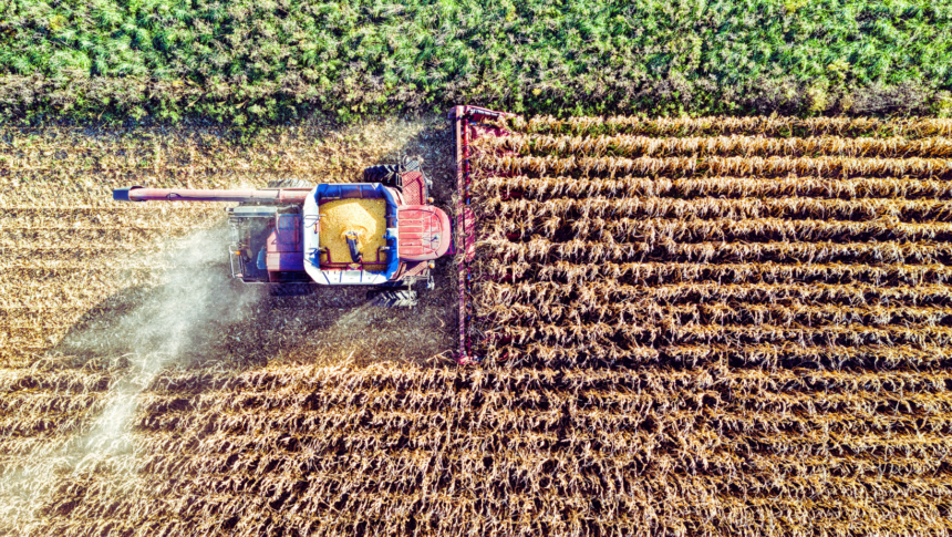 When Farmers Own the Bank
