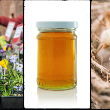 Lynchburg’s First-Ever Spring Farm & Homestead Swap Is Coming May 2