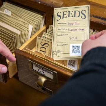 At Sewanee’s Library, you can check out seeds