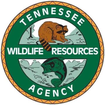 Tullahoma man drowns on Tims Ford Lake