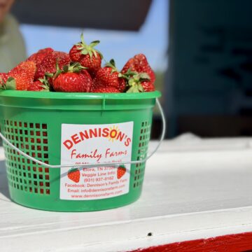 It’s Dennison’s strawberry season