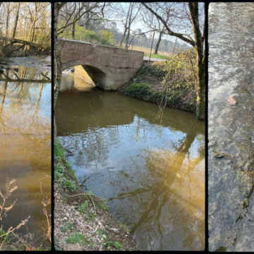State issues pollution violation to MUD over Good Branch discharge