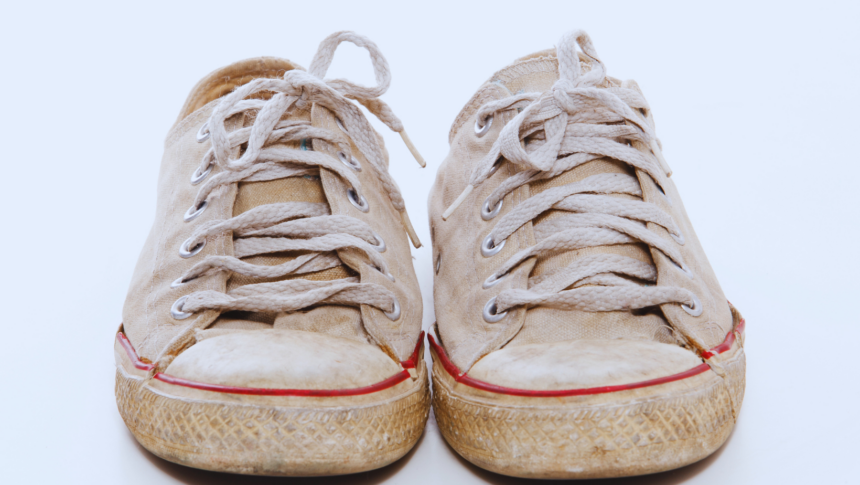Friends of Animals collecting shoes to fund local rescue
