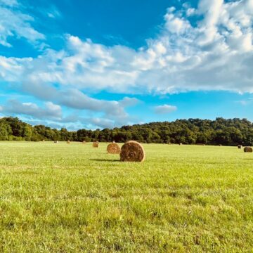 The Longest Day: What the Farmer’s Almanac Says About the Summer Ahead