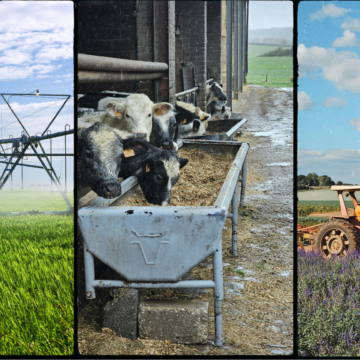 TN Tech launches fully online agribusiness degree path