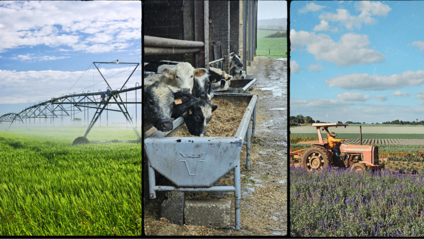 TN Tech launches fully online agribusiness degree path