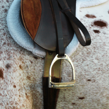 Project Graduation Horse Show returns to Wiseman Park on Aug. 8