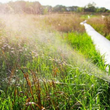 Featured Picture (60) MUD’s water loss stays below 30 percent for the first time in years