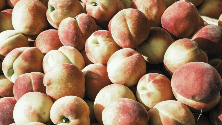 Peach Festival returns on July 18
