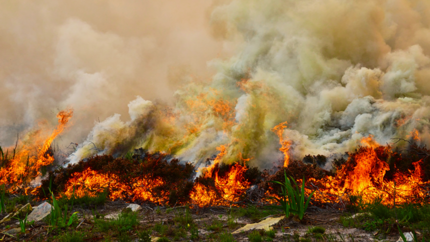 Northwest wildfire smoke could settle over Moore County through Wednesday