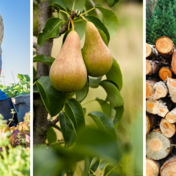 Free Webinar Series Teaches How to Turn Existing Land Into Farm Income