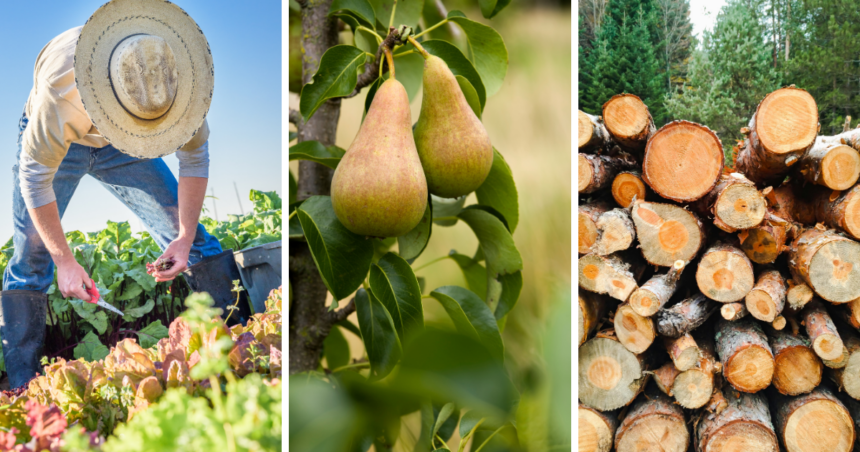 Facebook Landscape (3) Free Webinar Series Teaches How to Turn Existing Land Into Farm Income