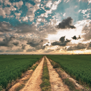 farmland stock image New state program helps local farmers preserve land