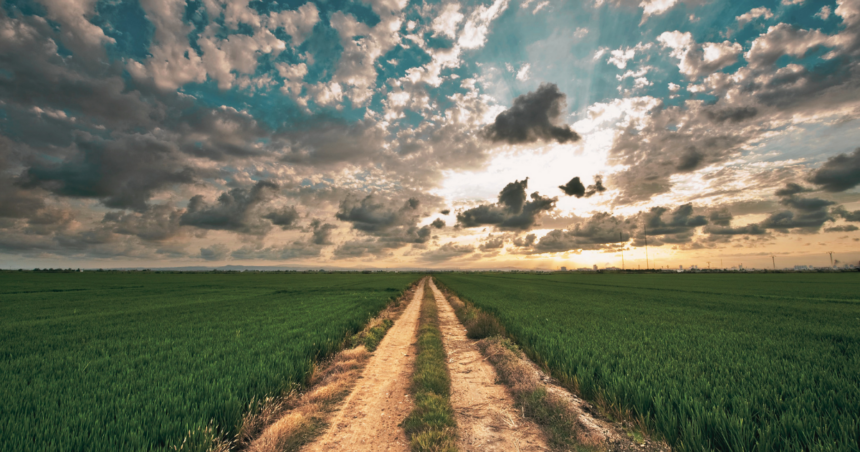 farmland stock image New state program helps local farmers preserve land