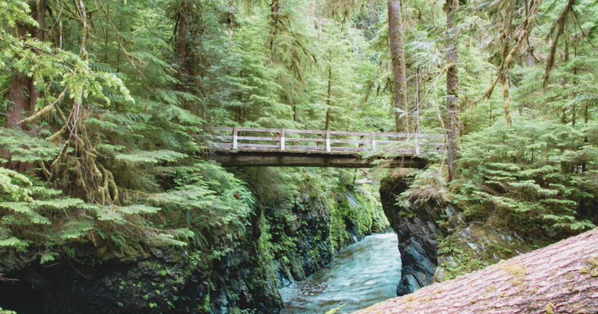 Tennessee State Parks seeks input on future plans for 12 state parks
