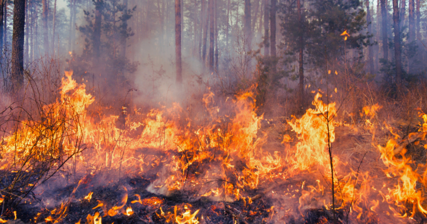 Facebook Landscape (60) With drought conditions, burn permits required through May 15